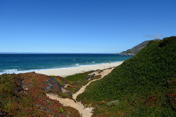 Beautiful landscapes along the California State Route One, California, USA