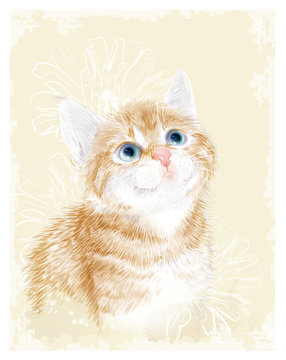 Little kitten the red marble coloring with flowers.  Ginger fluffy kitten. Portrait oh the cat.  Spring illustration.