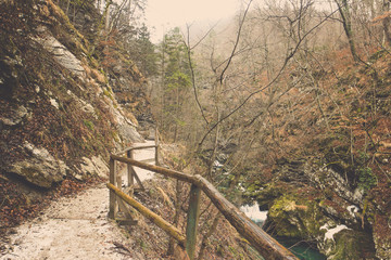 A creek and pathway , Lake Bled