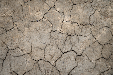 Crack soil on dry season.