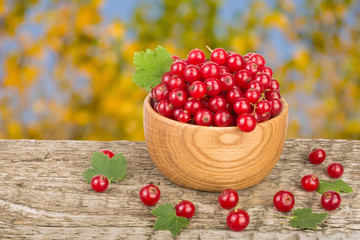 Red currant berries in wooden bowl on wooden table with blurry garden background