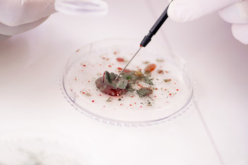 Male doctor working in the lab on virus vaccine