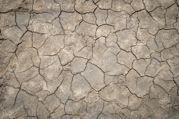 Crack soil on dry season.