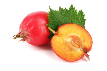 Hawthorn berry with leaf isolated on white background close-up