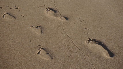 foot prints on wet sand