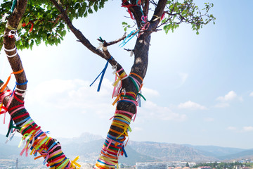 Tree decorated with colored ropes in the sunlight in Crimea, Sudak