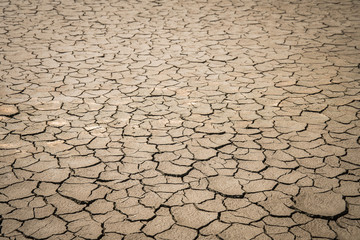 Crack soil on dry season.