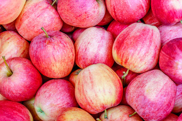 Red apples background