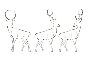 Standing black line deers on white background. Hand drawing vector graphic animals.