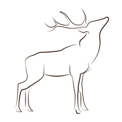 Obraz premium Standing black line deer on white background. Hand drawing vector graphic animal.