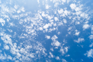 Obraz premium White fkuffy small clouds on the light-blue sky