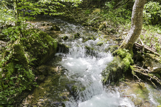 Beautiful mountain stream with a waterfall, in spring forest 
