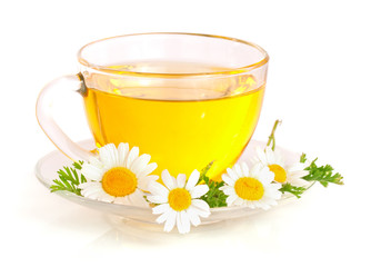 Herbal tea with fresh chamomile flowers isolated on white background