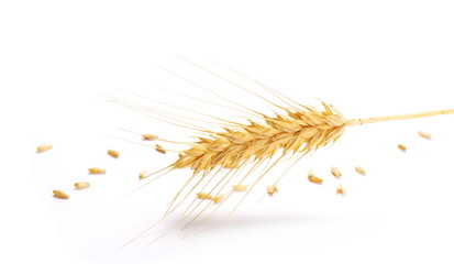 Obraz premium Oat grains and ears of wheat isolated on white background