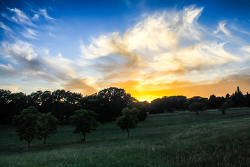 sundown on a green outdoor park in the city