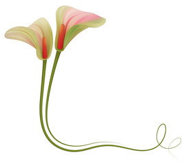 Realistic anthurium, corner. 