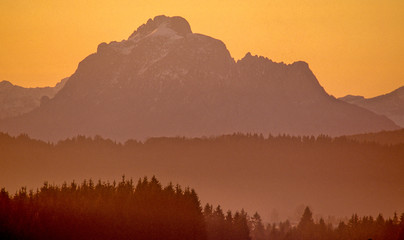 Deutschland, Bayern, Allgäu, Blick auf Waldsaum und den Gipfel des Säuglings im Sonnenuntergang