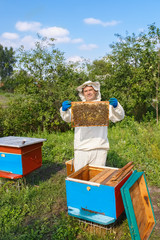 beekeeper with honeycomb