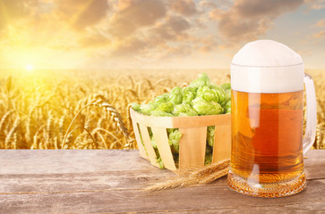 mug of beer against wheat field