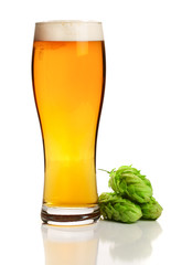 glass of beer with hop cones isolated on white background