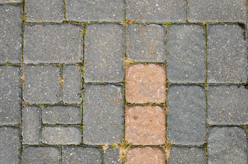 Gray Concrete Paving Stone Texture. Landscaping background concept