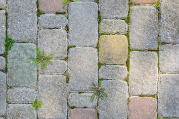 Multicolored Sidewalk Tile Texture. The Texture of Artificial Stone Pavers of Different Colors