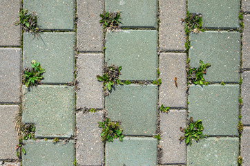 Square Grey Concrete Cobblestones with Holes for Grass Top View. Grey Cobblestone Texture. Landscaping Element Background Concept