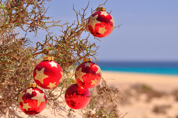 chrismas ball on the beach