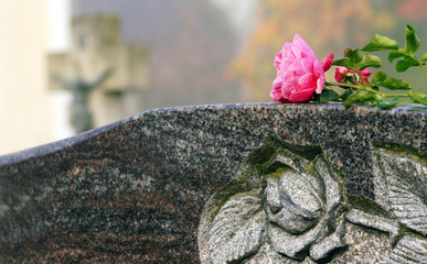 Church-yard, grave, Friedhof, Grab, Allerheiligen, Allerseelen, Rose, Sterbebild, Textraum, copy...