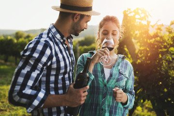 Fototapeta premium Romantic couple in vineyard before harvesting