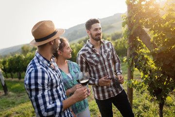 Wine grower and people in vineyard