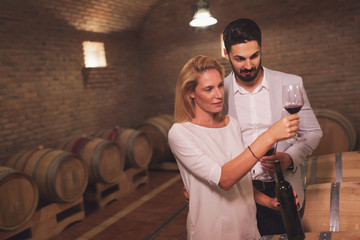 Wine loving couple degustating wines