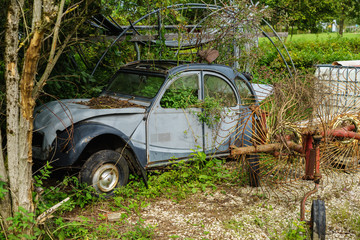 romantisch, morbider Blick auf ein Autowrack; D, Bayern, Schwaben, eingewachsenes Autowrack einer...
