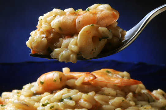 Risotto with shrimp Risotto con i frutti di mare mit Garnelen ризотто с креветками katkarapulla 