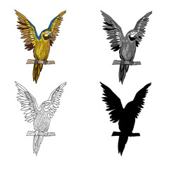 Vector illustration of an image of a parrot with raised wings. Black line, black and white and gray spots, black silhouette, color image.