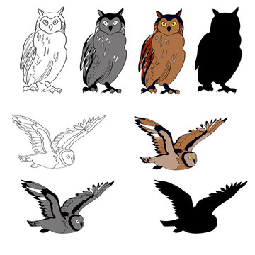 Vector illustration, an image of an owl in different angles, a sitting owl, a flying owl. Black line, black and white and gray spots, black silhouette, color image