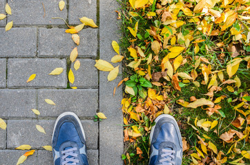 Sneakers on a Autumn Pavement Sidewalk with Yellow Fallen Leaves Top View.