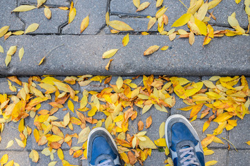 Blue Sneakers on a Gray Paving Sidewalk Covered with Fallen Leaves Top View.