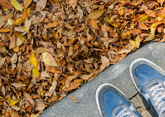 Blue Sneakers on a Gray Paving Sidewalk Covered with Fallen Leaves Top View.