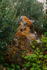 red stone with plants