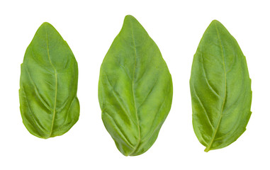 basil leaves