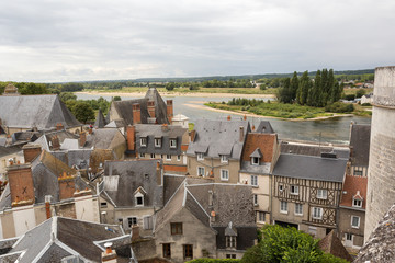 Fototapeta na wymiar Vue sur Amboise et la Loire