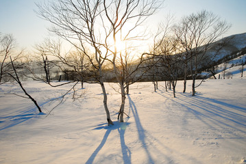 Fototapeta na wymiar 冬の道東　夕方の藻琴山（北海道）