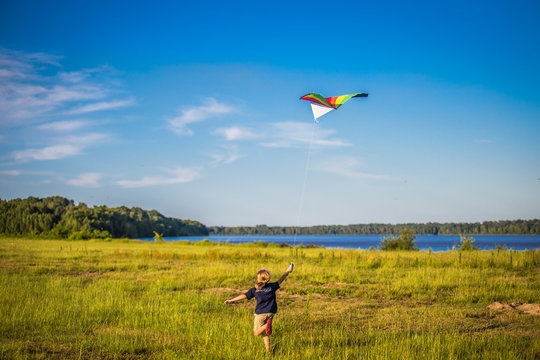Child Flying Kite in Meadow