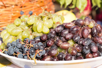 berries of grapes