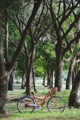 Fototapeta premium Red bike in the park.