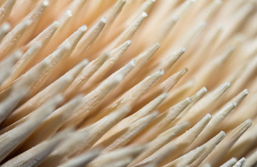 wooden toothpick macro
