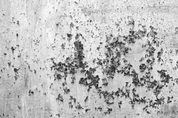 Old rusty gray metal texture background. Light shabby rusty old metal texture fence or wall. Abstract banner with copy space.