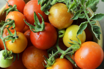 Tomato vegetable with macro close up for food backgrounds
