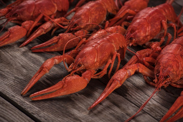 Red boiled crayfish on wooden background